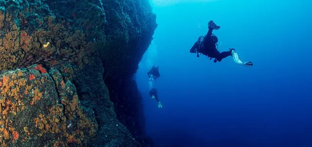 Deux plongeurs explorent une paroi rocheuse sous-marine en bleu profond