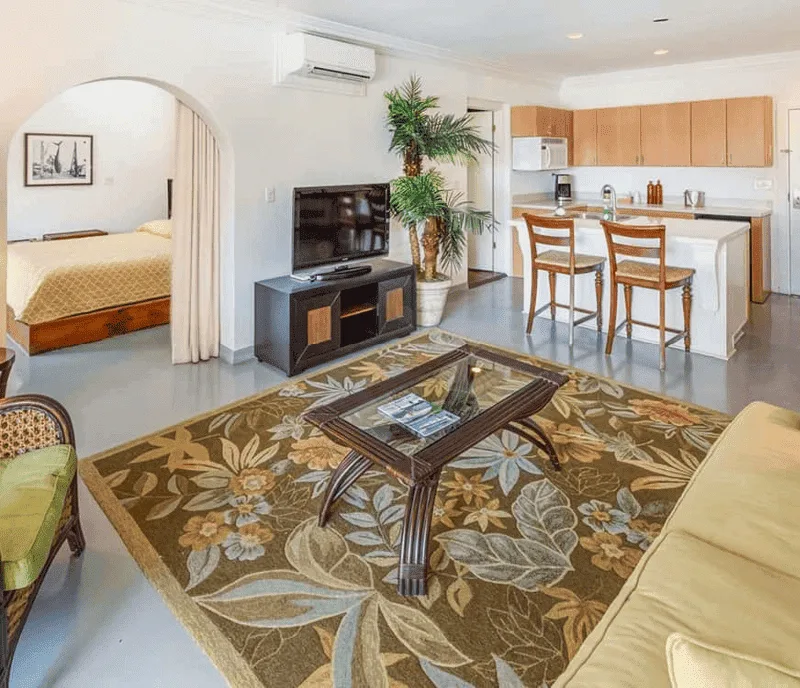 Intérieur d'un appartement lumineux avec salon, cuisine et chambre séparée