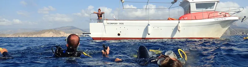 Plongeurs à la surface près d'un bateau blanc avec une personne à l'avant