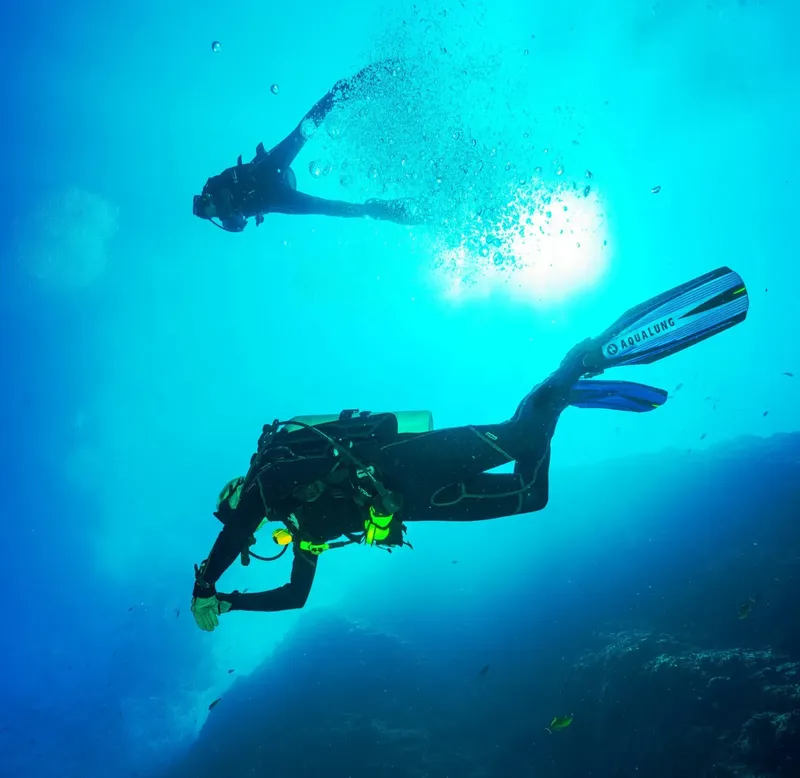Deux plongeurs explorent un fond marin bleu et ensoleillé