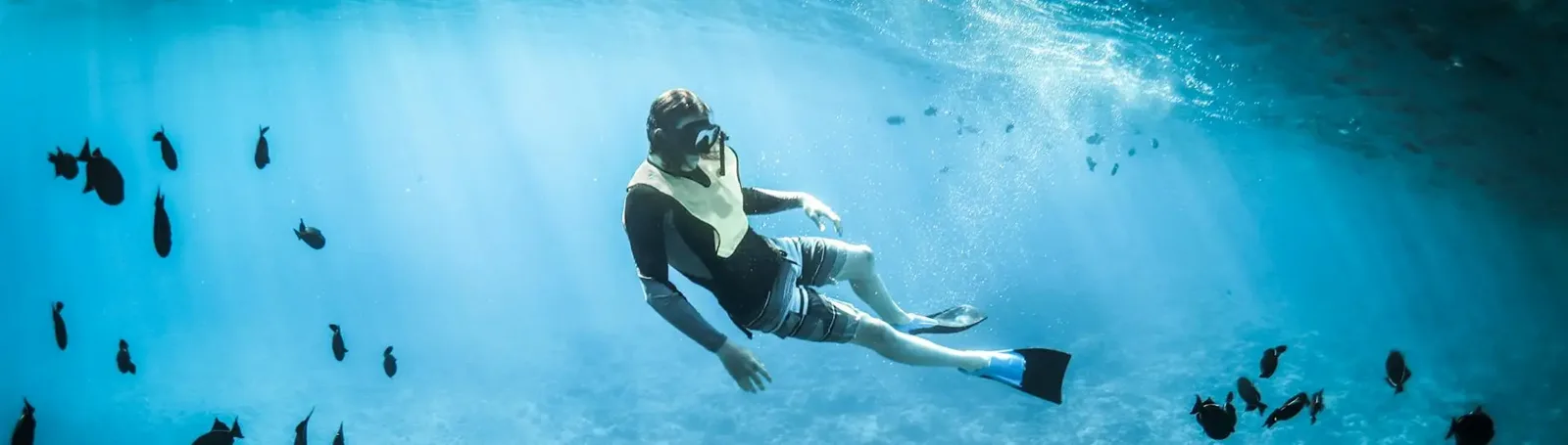 Orca Dive Clubs Moreen Beach