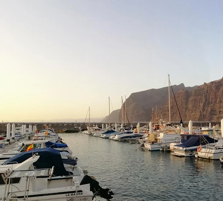 Port de plaisance ensoleillé avec de nombreux bateaux amarrés et montagnes