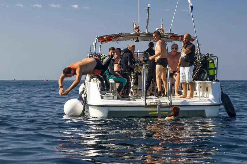 Plongeurs se préparent à entrer dans l'eau depuis un bateau