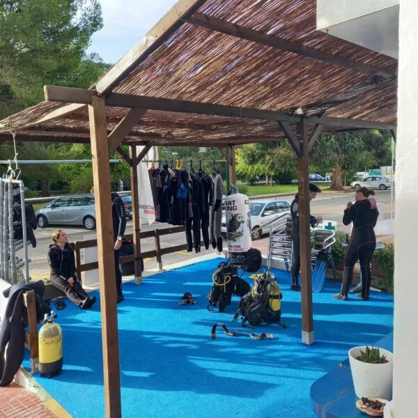 Plongeurs équipés sous une structure en bois, préparation de sortie