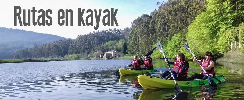 Quatre personnes pagayent en kayak sur un lac calme et verdoyant