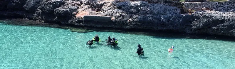 Groupe de plongeurs en surface dans une eau turquoise claire