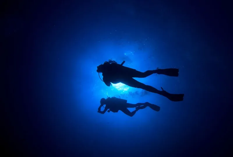 Deux plongeurs silhouettés évoluent dans une eau bleue éclairée
