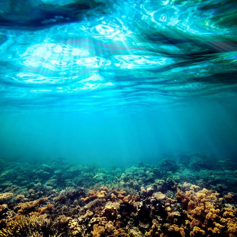 Vue sous-marine avec rayons de soleil et récif corallien coloré