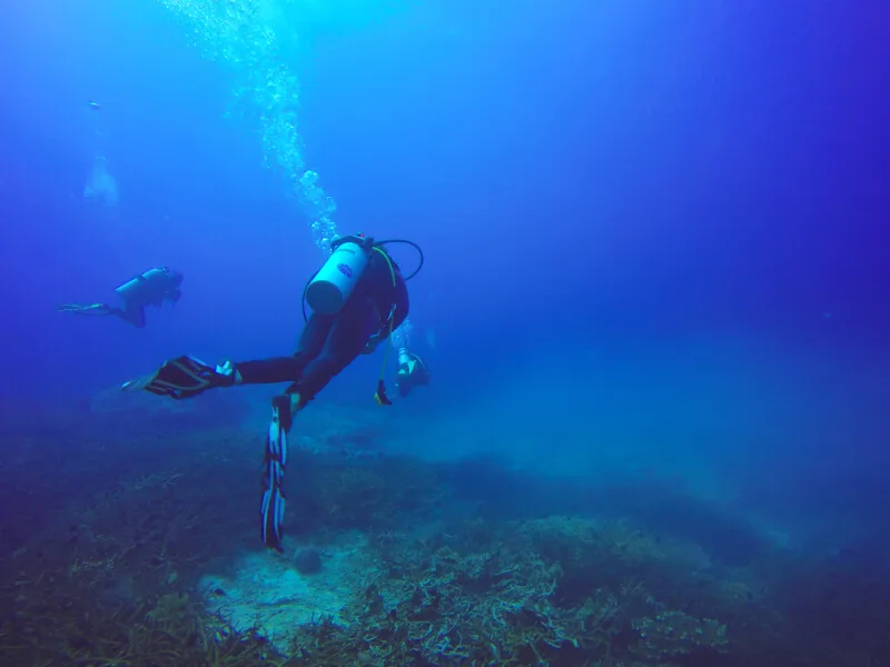 Deux plongeurs explorent les fonds marins dans une eau bleue claire