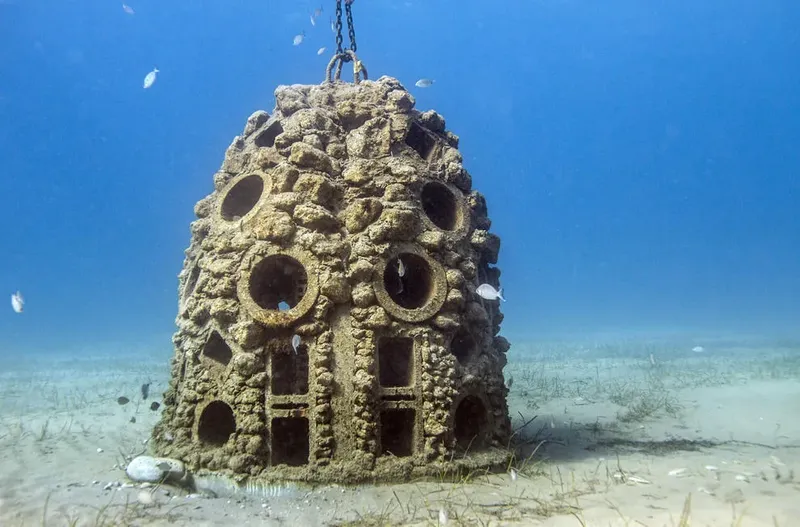 Structure artificielle sous-marine colonisée par la faune et la flore