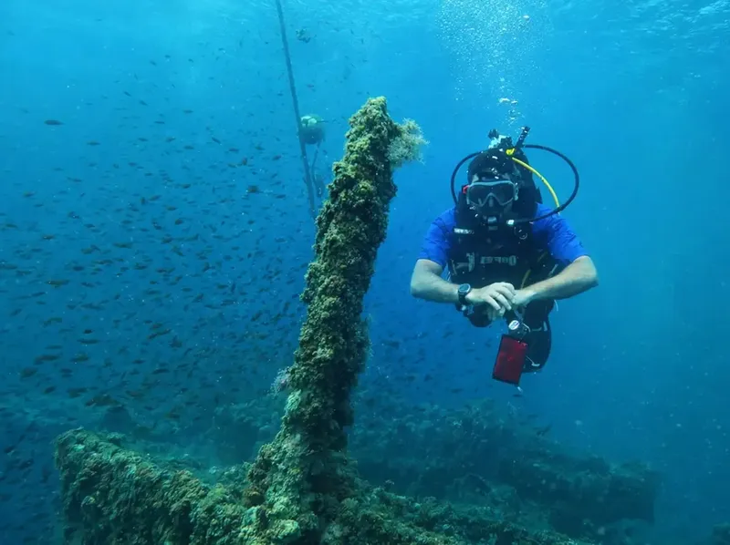 Plongeur explorant une épave colonisée par la vie marine