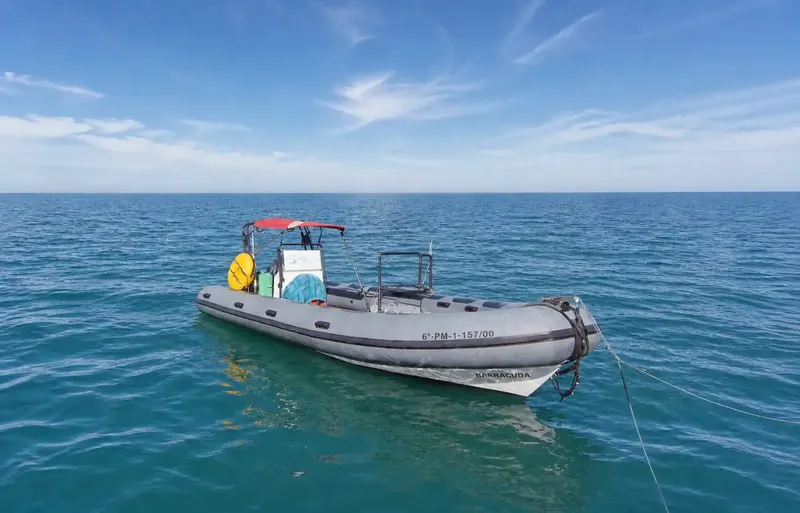 Bateau semi-rigide gris et jaune sur une mer bleue calme