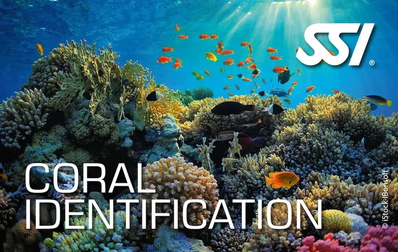Recif corallien coloré avec de nombreux poissons tropicaux et logo SSI