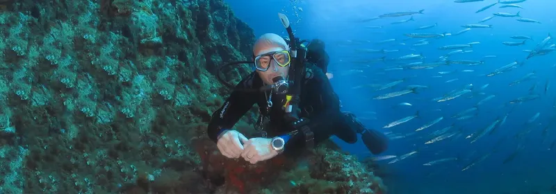 Plongeur avec masque et détendeur, entouré de poissons en mer
