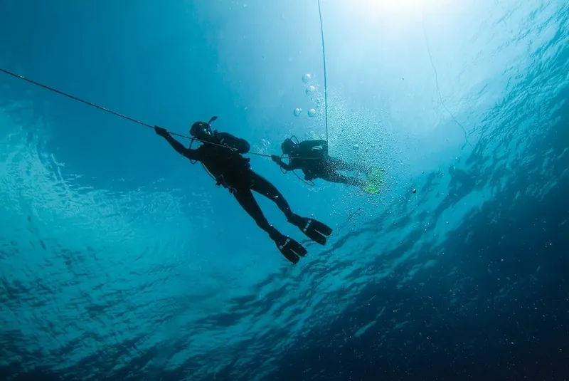 Deux plongeurs évoluent sous l'eau, suivant une ligne de sécurité verticale