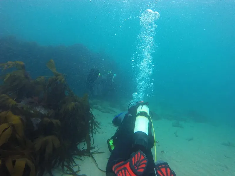 Plongeurs sous l'eau, exploration marine, bulles remontant vers la surface
