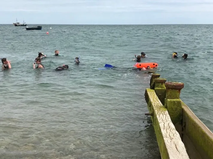 Groupe de plongeurs en surface près d'un ponton en bois