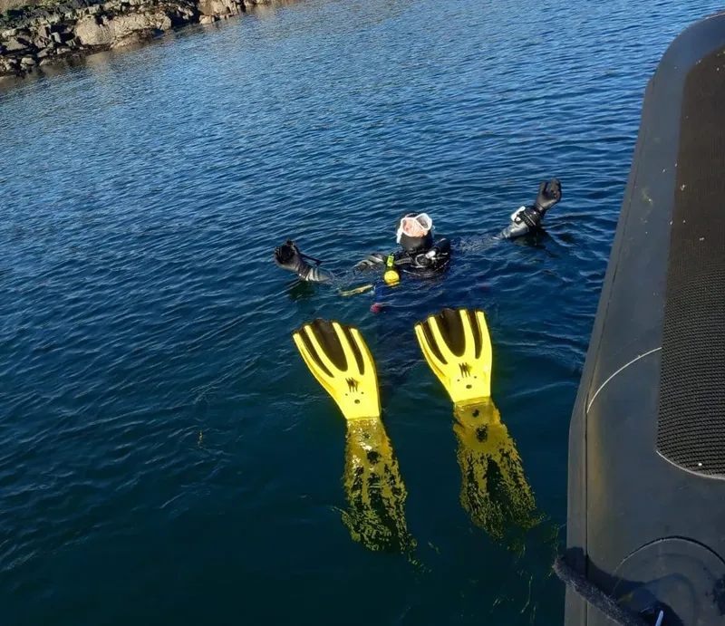 Deux plongeurs flottent à la surface de l'eau, prêts à plonger