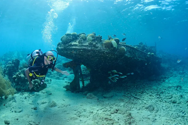 Plongeur explore une épave recouverte de coraux et de poissons