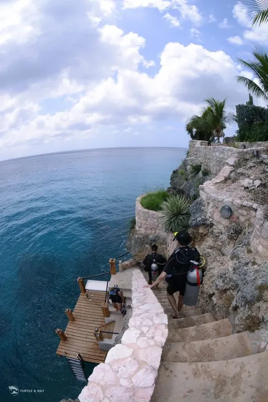 Des plongeurs équipés descendent des marches vers un ponton en mer