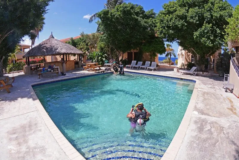 Piscine de centre de plongée avec des personnes équipées pour plonger