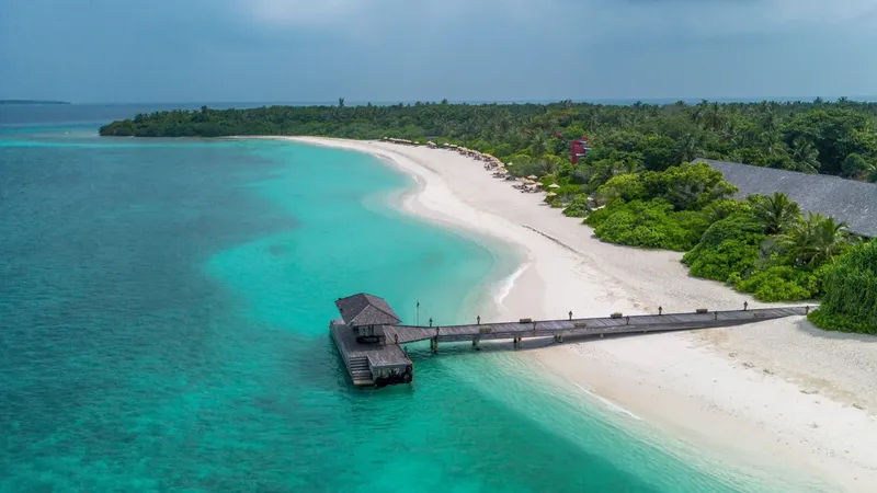 Vue aérienne d'une plage tropicale avec un ponton en bois turquoise