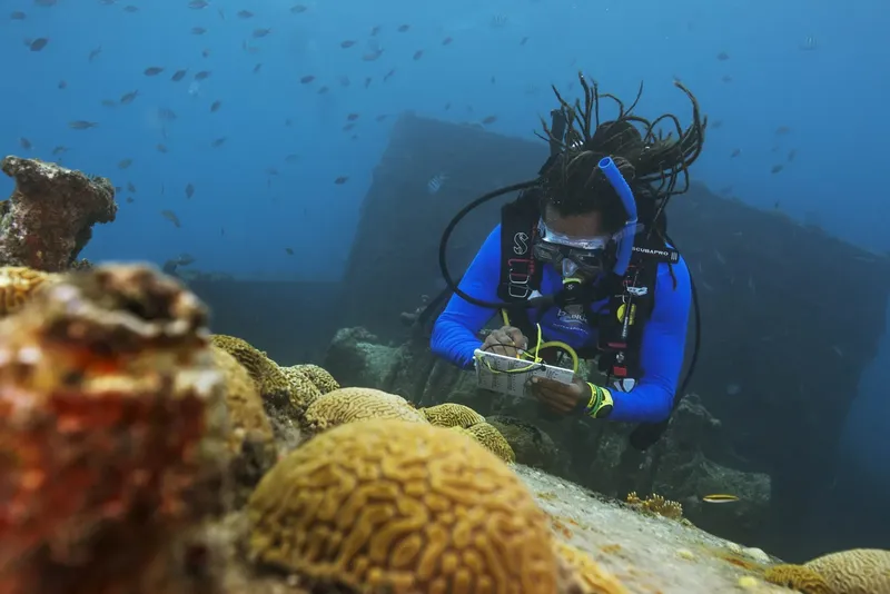 Plongeur documentant la vie marine sur un récifal corallien