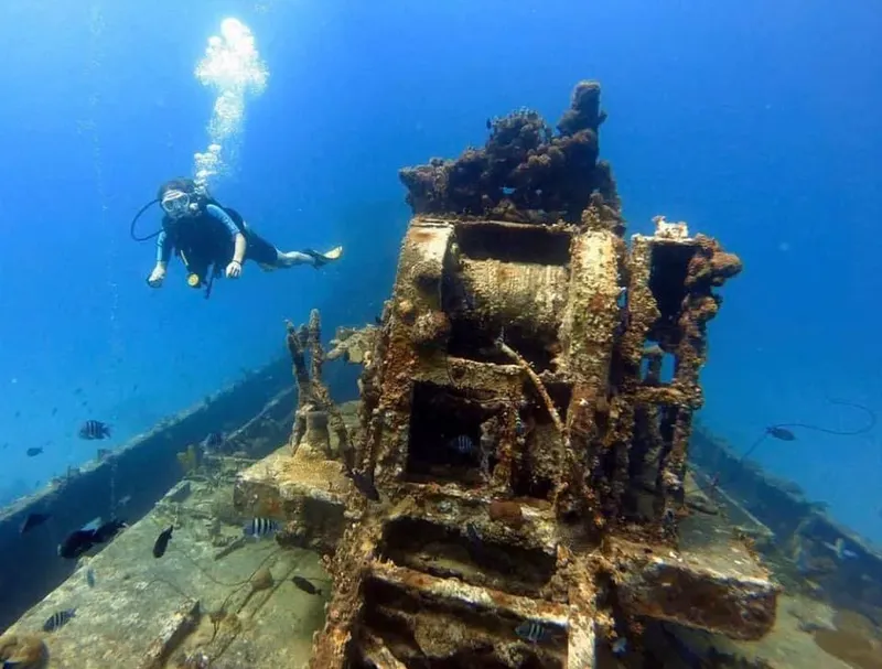 Plongeuse explorant une épave rouillée et colonisée par la vie marine