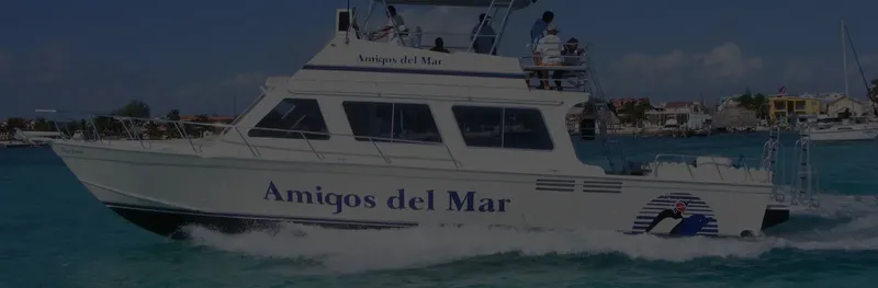 Bateau de plongée blanc avec des passagers naviguant sur une mer turquoise