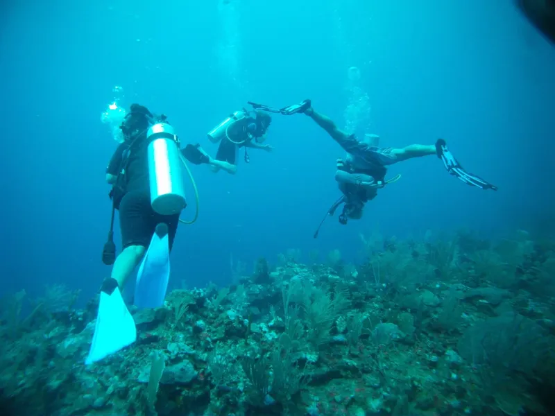 Trois plongeurs explorent un récif corallien en eau bleue claire