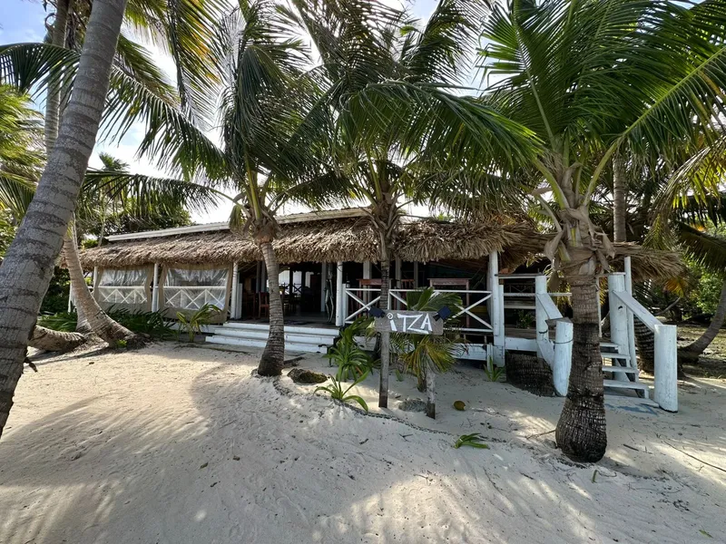 Bâtiment de plage avec toit de chaume et palmiers environnants sable blanc