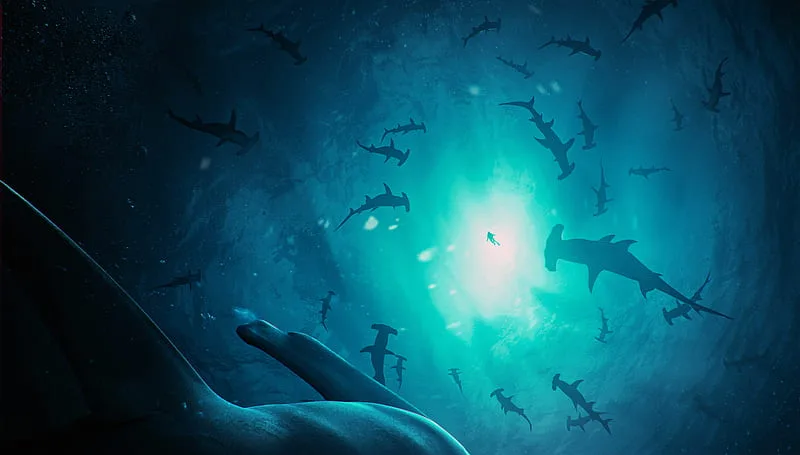 Banc de requins-marteaux et plongeur éclairés par le soleil sous-marin