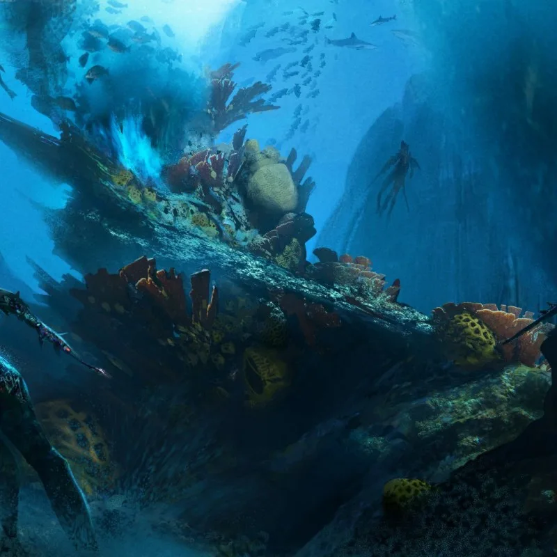 Epave colonisée par des coraux et des poissons dans l'océan