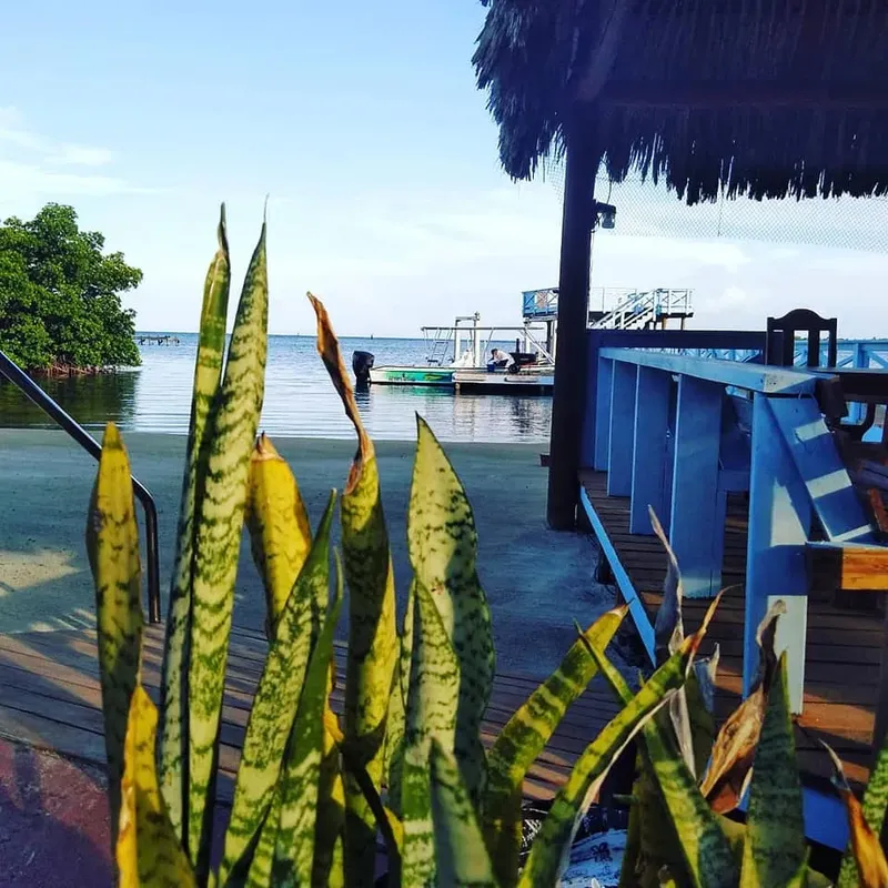 Vue sur la mer avec ponton en bois et personnes à bord