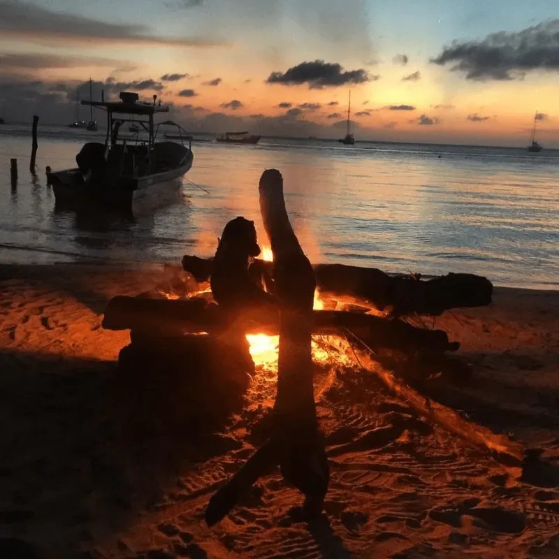 Coucher de soleil sur une plage avec des bateaux au loin et bois