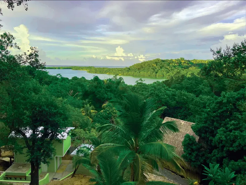 Vue d'ensemble d'un paysage tropical avec végétation luxuriante et bâtiments