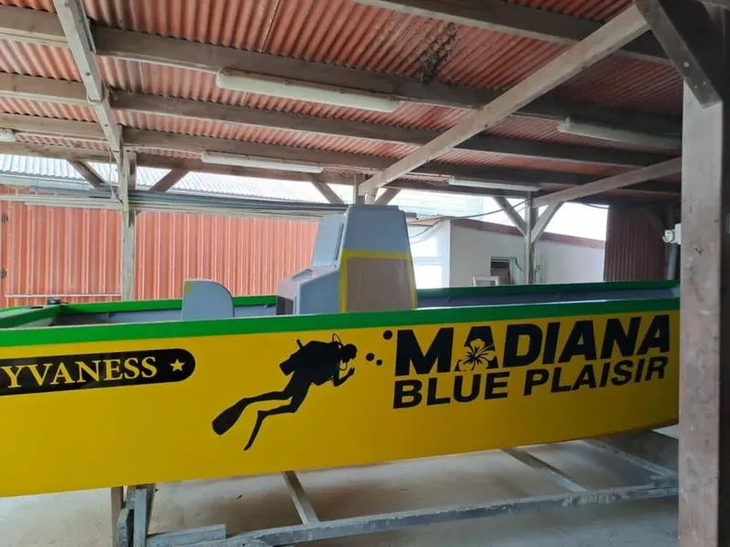 Bateau jaune avec un cheval noir et le texte Madiana Blue Plaisir