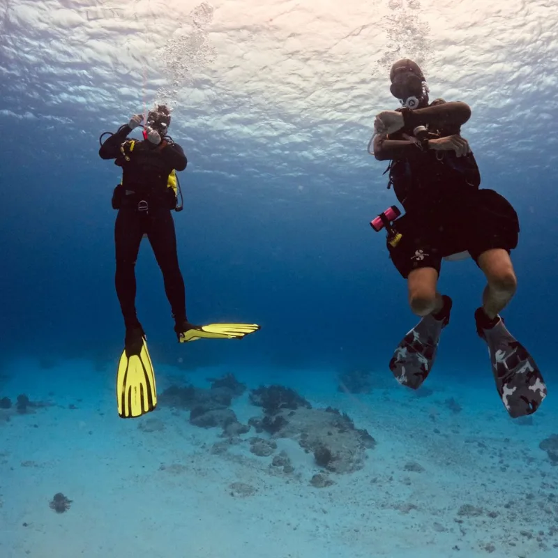 Deux plongeurs en combinaison explorent un récifal corallien bleu turquoise