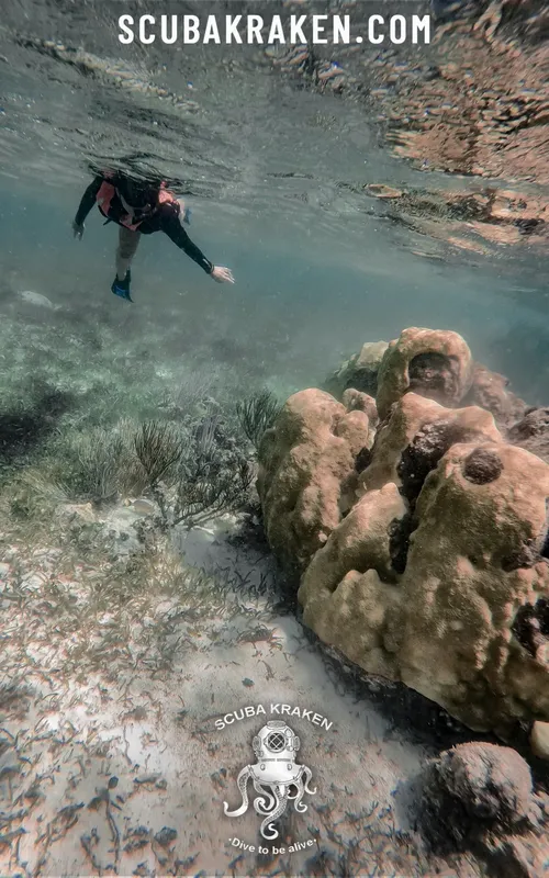 Plongeur en exploration sous-marine au-dessus d'un fond rocheux sablonneux
