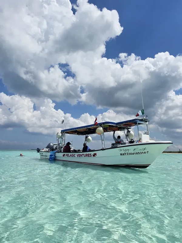 Bateau de plongée blanc et vert sur une mer turquoise nuageuse