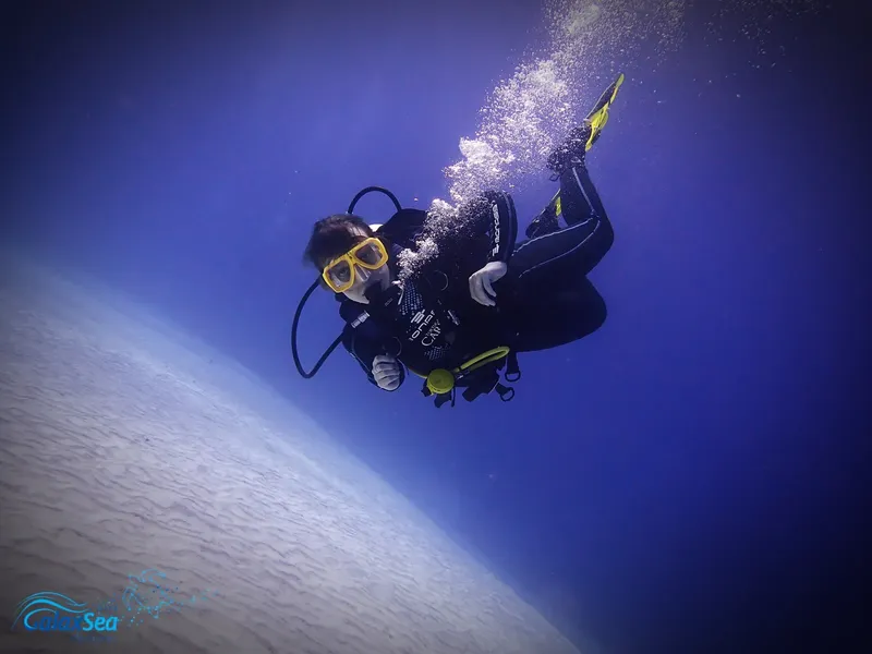 Plongeur en combinaison noire explore les fonds marins bleus et clairs