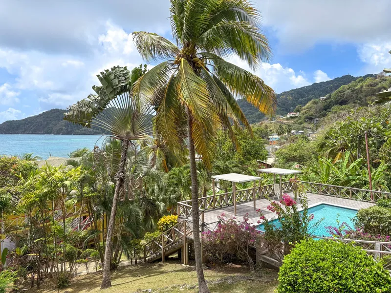 Vue d'ensemble d'une piscine et d'une végétation tropicale luxuriante