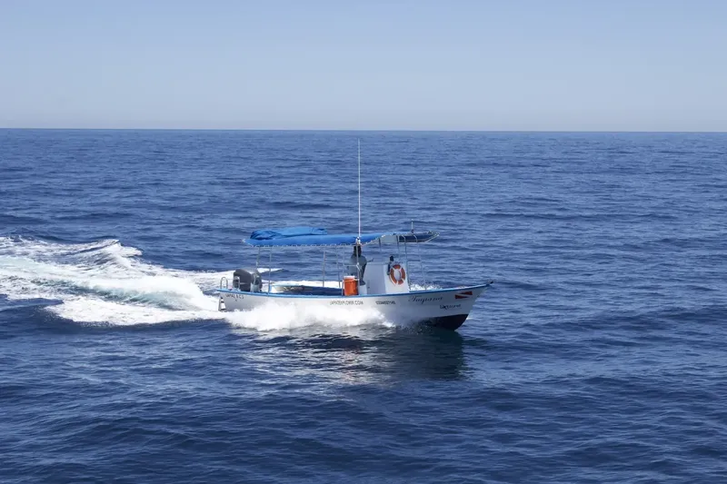 Bateau de plongée bleu et blanc navigue sur une mer calme