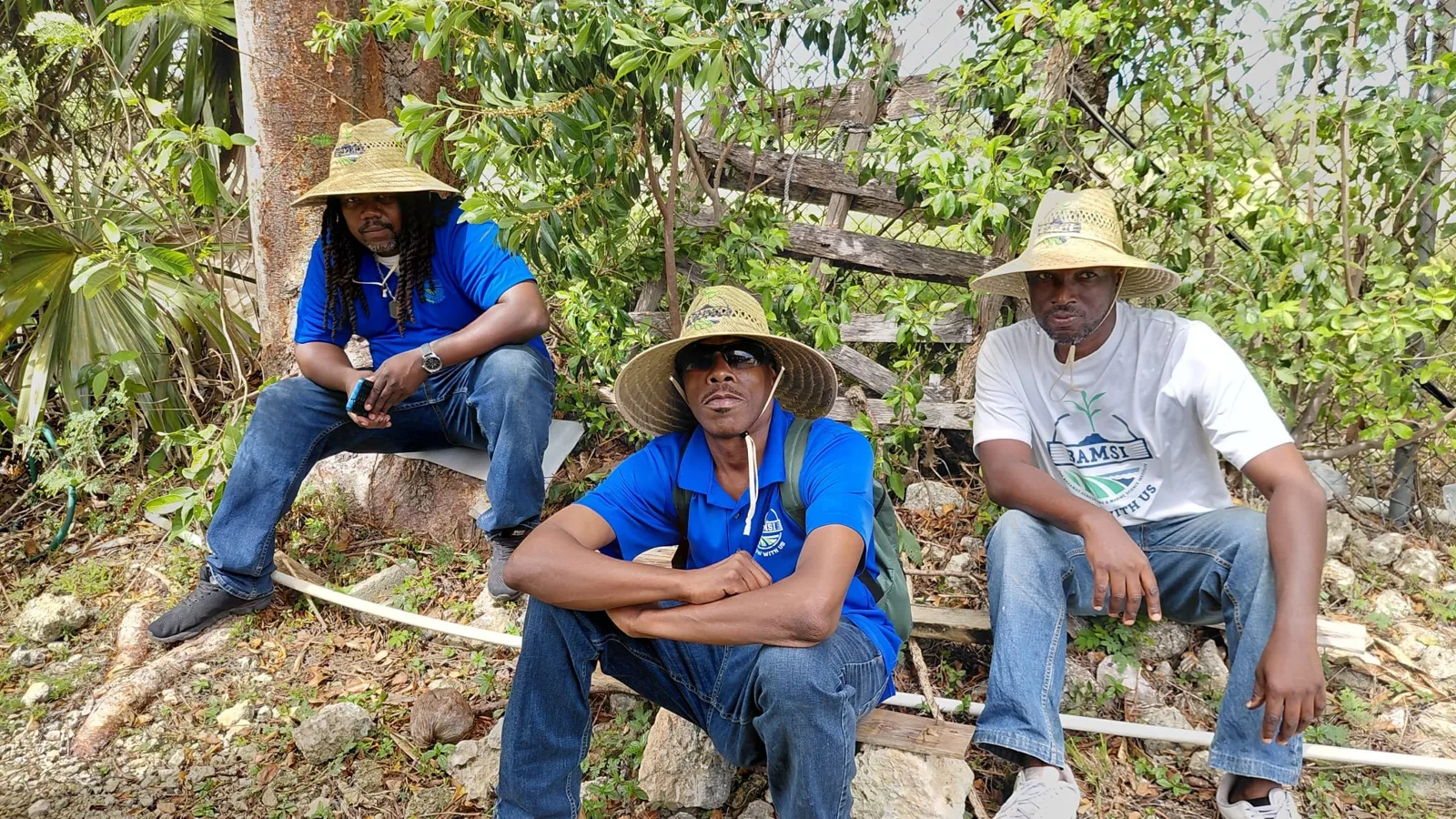 Trois hommes portant des chapeaux de paille assis dans la végétation