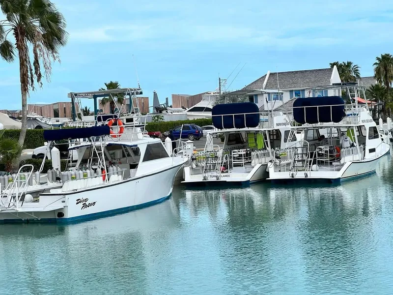 Plusieurs bateaux de plongée amarrés dans un port ensoleillé