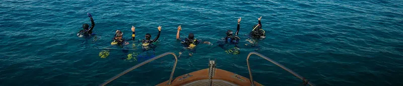 Plongeurs flottant à la surface de l'eau, bras levés, vue depuis le bateau
