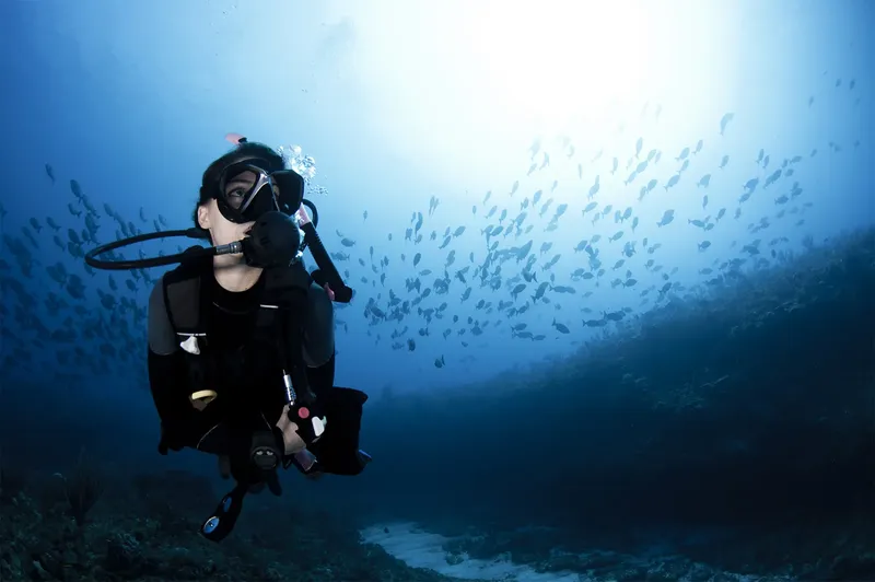 Plongeur évolue au milieu d'un banc de petits poissons bleus