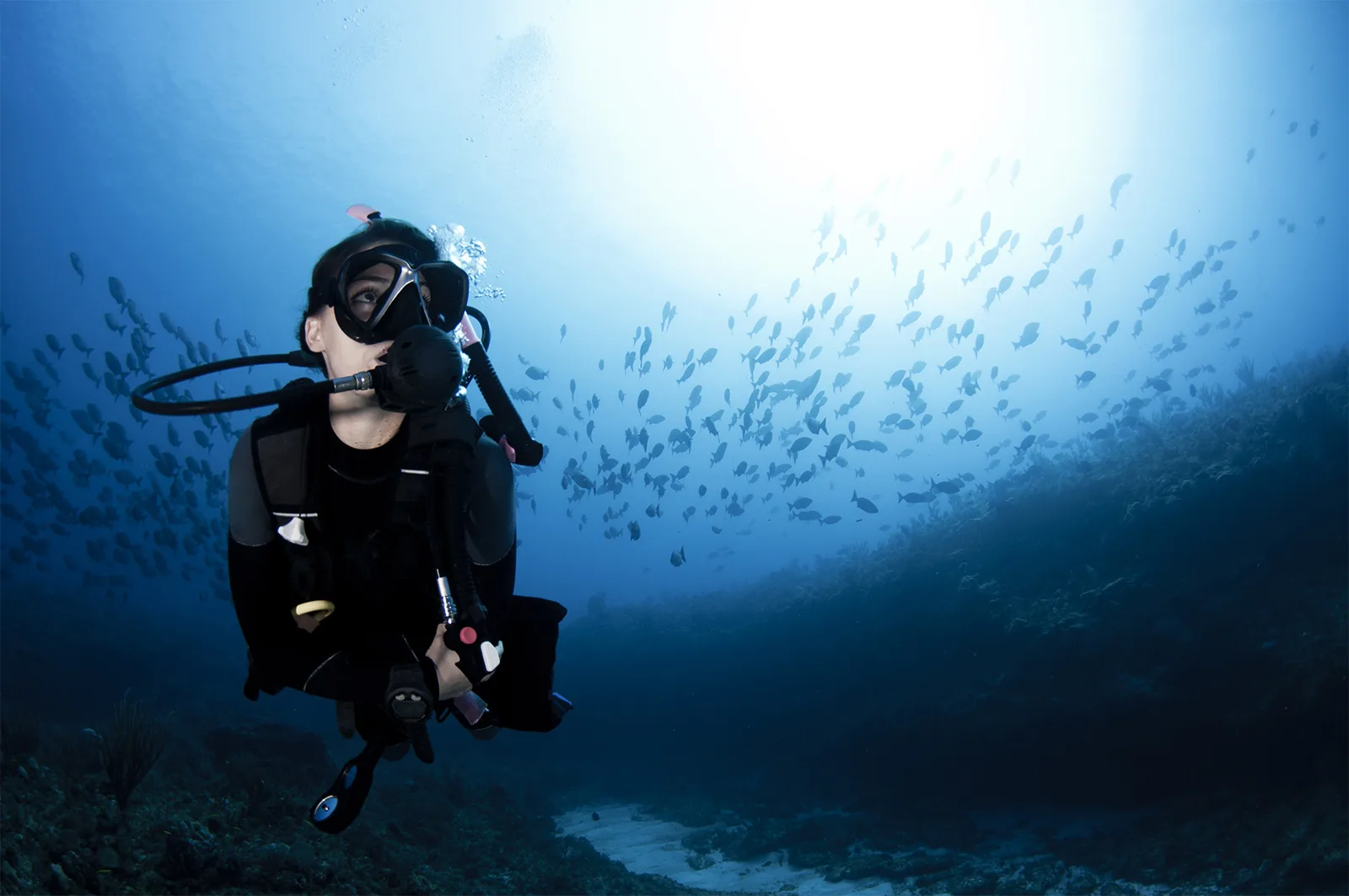 Admiralty Dive Center