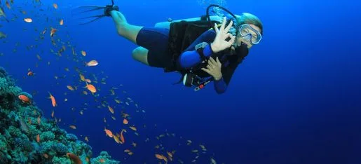 Plongeuse souriante en milieu aquatique entourée de petits poissons colorés