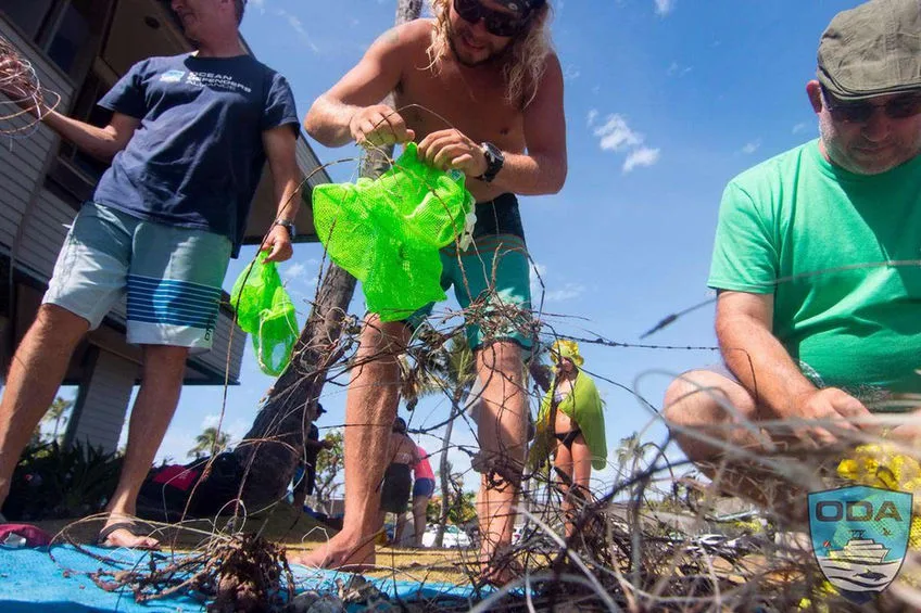 Des personnes manipulent des algues et des filets sur une plage ensoleillée